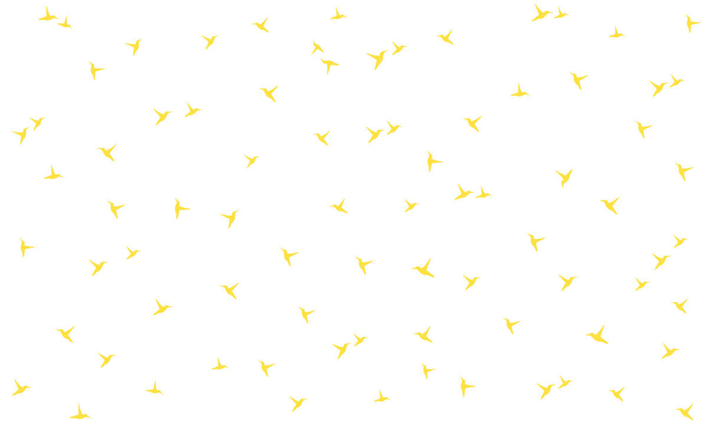 Karima R. Uppal India, Nueva Deli